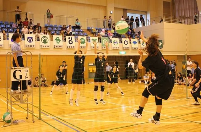 第43回全国ビーチボール競技大会の公式案内に掲載された写真