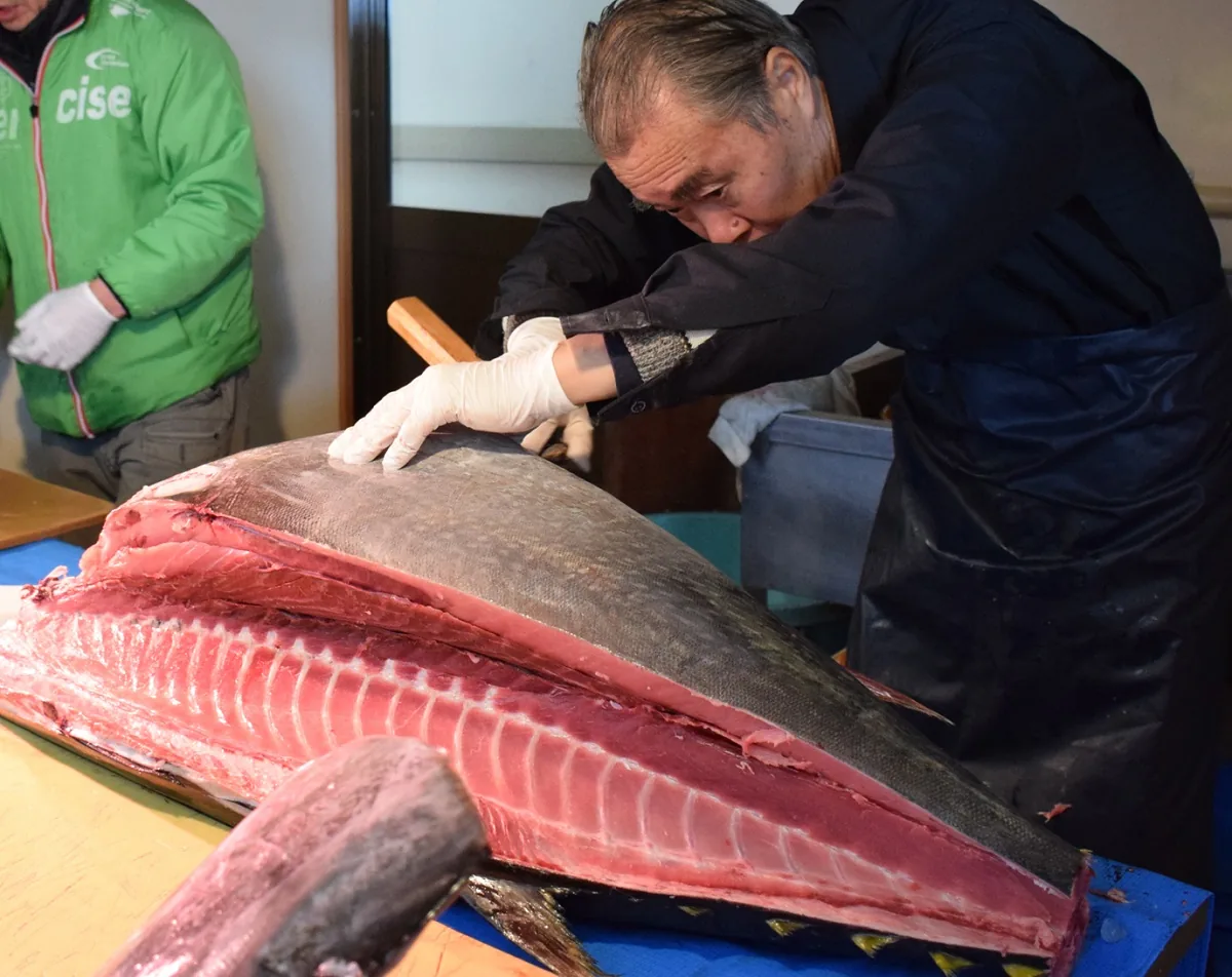 第43回塩竈の醍醐味の公式案内に掲載された画像