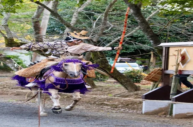 白石町のおくんちの様子（関連する地域の祭礼の参考写真）