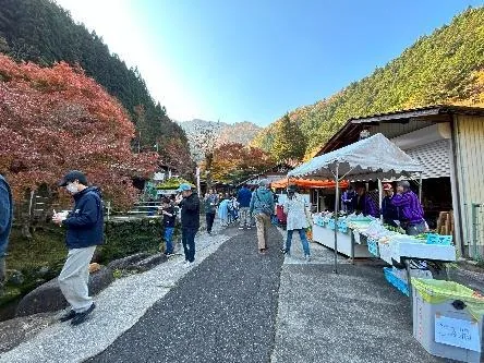 当年観光案内に掲載された、原不動滝・小滝公園もみじ祭りの会場参考写真