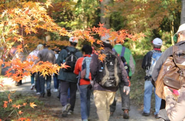 悠久の森ウォーキング大会