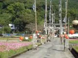須賀神社　秋祭りの公式案内に掲載された写真