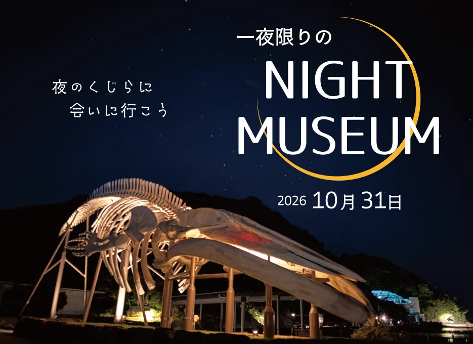太地町立くじらの博物館 一夜限りのナイトミュージアムの公式案内に掲載された画像
