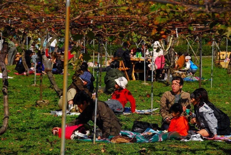 今回の公式観光案内に掲載されたワインフェスタの紹介画像