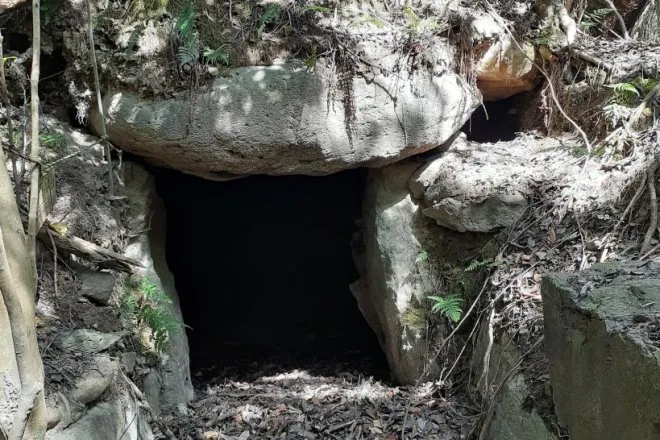 秋の石清尾山古墳群ツアー　～浄願寺山編～の公式紹介画像
