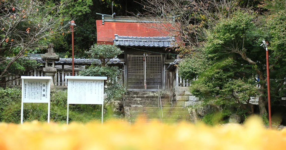 長野八幡神社例祭（住吉踊）の公式案内に掲載された参考写真