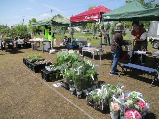 今回の公園案内に掲載されている、園芸市の参考写真