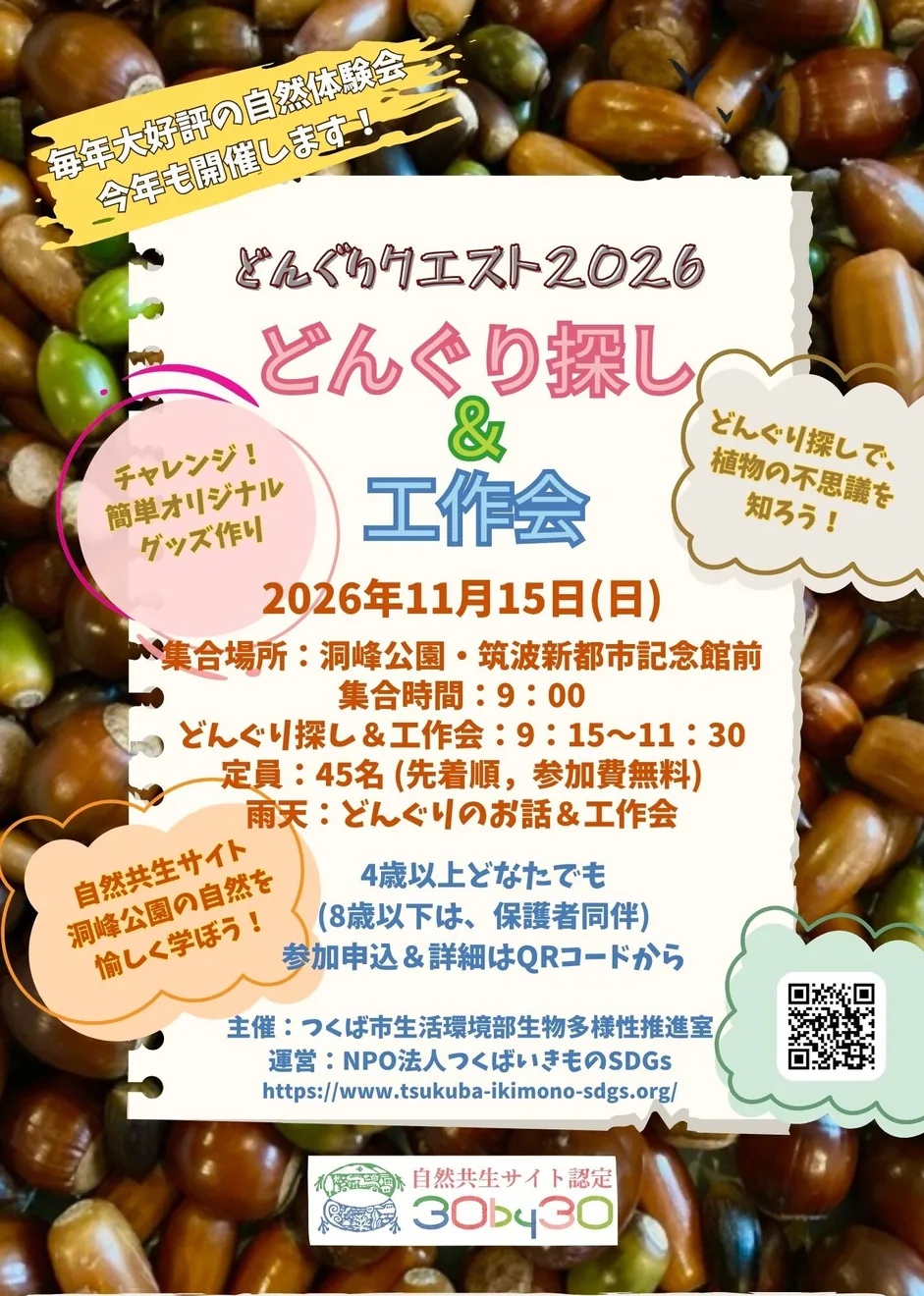 どんぐりクエスト2026 in 洞峰公園の公式募集チラシ