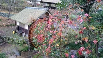 石畳水車まつりの地域公式掲載画像