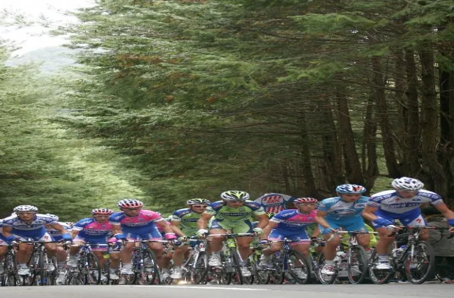 2026ジャパンカップサイクルロードレースの公式案内に掲載された写真
