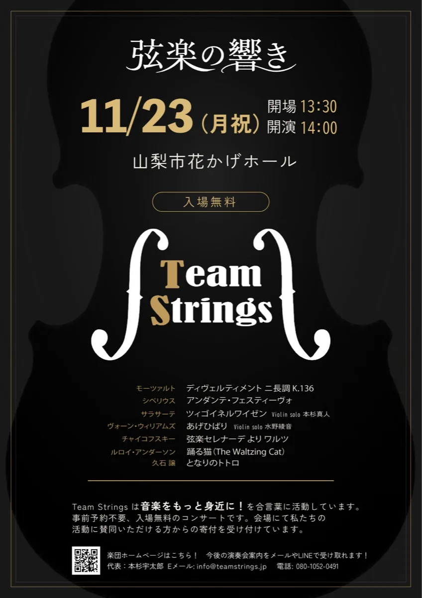 Team Strings 第1回演奏会「弦楽の響き」の公式チラシ