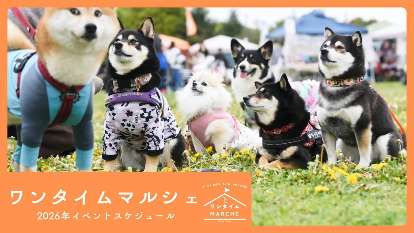 ワンタイムマルシェ in 大阪の公式案内に掲載された画像