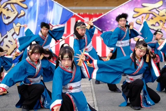 秋田ふるさと村の当年よさこいフェスティバル案内に使用されている紹介写真