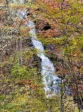 白龍の滝と紅葉の参考写真
